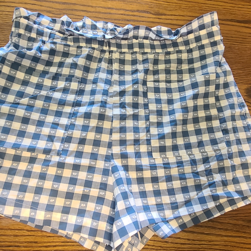 LC Lauren Conrad Blue and White Checkered Women Shorts